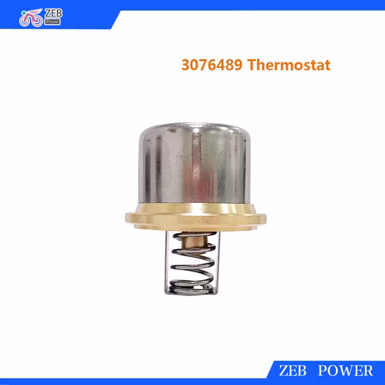 Thermostat 3076489 für Motoren L10, M11, N14 Kta19, Kta38, Kta50 und Qsk19